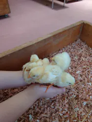 東武動物公園に投稿された画像(2026/7/9)