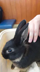 東武動物公園に投稿された画像(2026/7/9)