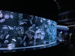 京都水族館に投稿された画像(2026/7/9)