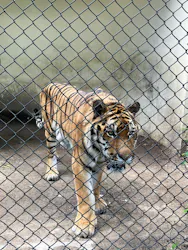 広島市安佐動物公園に投稿された画像(2026/7/10)