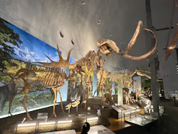 福井県立恐竜博物館に投稿された画像(2026/7/10)