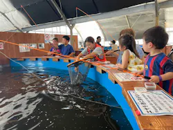 釣って見つけるぼうけんの国 沖縄に投稿された画像(2026/7/10)
