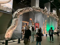 福井県立恐竜博物館に投稿された画像(2026/7/10)