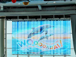 アクアワールド茨城県大洗水族館に投稿された画像(2026/7/11)