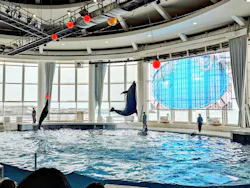 アクアワールド茨城県大洗水族館に投稿された画像(2026/7/11)