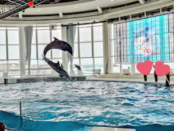アクアワールド茨城県大洗水族館に投稿された画像(2026/7/11)