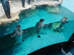 アクアワールド茨城県大洗水族館に投稿された画像(2026/7/11)
