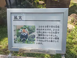 千葉市動物公園に投稿された画像(2026/7/11)