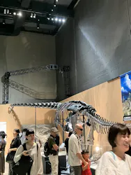 福井県立恐竜博物館に投稿された画像(2026/7/11)