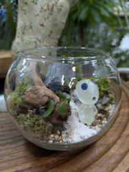 苔むす屋に投稿された画像(2026/7/11)