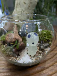 苔むす屋に投稿された画像(2026/7/11)