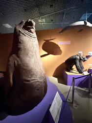 特別展「いきもの超ワールド展 国立科学博物館×ダーウィンが来た!」(国立科学博物館)に投稿された画像(2026/7/11)