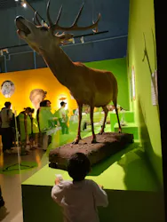 特別展「いきもの超ワールド展 国立科学博物館×ダーウィンが来た!」(国立科学博物館)に投稿された画像(2026/7/11)