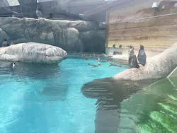 天王寺動物園に投稿された画像(2026/7/11)
