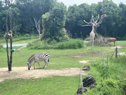 天王寺動物園に投稿された画像(2026/7/11)