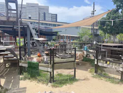 天王寺動物園に投稿された画像(2026/7/11)