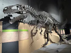 福井県立恐竜博物館に投稿された画像(2026/7/11)