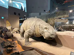 福井県立恐竜博物館に投稿された画像(2026/7/11)