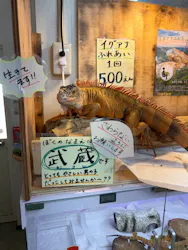 滋賀農業公園ブルーメの丘に投稿された画像(2026/7/12)