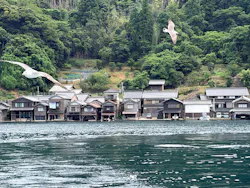 伊根湾めぐり遊覧船に投稿された画像(2026/7/12)
