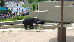 天王寺動物園に投稿された画像(2026/7/12)