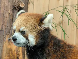 伊豆シャボテン動物公園に投稿された画像(2026/7/12)