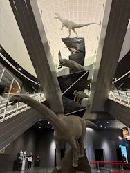 福井県立恐竜博物館に投稿された画像(2026/7/12)