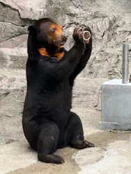 天王寺動物園に投稿された画像(2026/7/13)