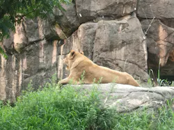天王寺動物園に投稿された画像(2026/7/13)
