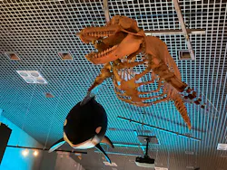 特別展「いきもの超ワールド展 国立科学博物館×ダーウィンが来た!」(国立科学博物館)に投稿された画像(2026/7/13)
