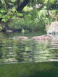 環境水族館アクアマリンふくしまに投稿された画像(2026/7/13)