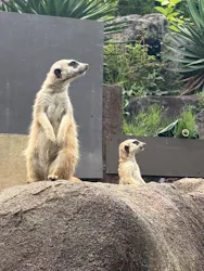伊豆シャボテン動物公園に投稿された画像(2026/7/13)