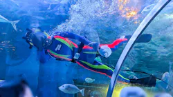 しながわ水族館に投稿された画像(2026/7/13)
