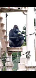 名古屋市東山動植物園に投稿された画像(2026/7/13)