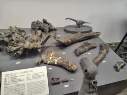 福井県立恐竜博物館に投稿された画像(2026/7/13)
