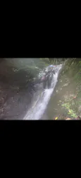 スプラッシュ東京・奥多摩に投稿された画像(2026/7/13)