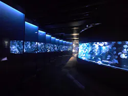 京都水族館に投稿された画像(2026/7/14)