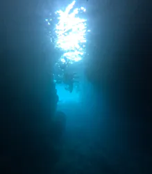 武藤潜水に投稿された画像(2026/7/15)