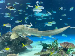 サンシャイン水族館に投稿された画像(2026/7/15)