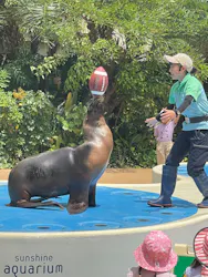 サンシャイン水族館に投稿された画像(2026/7/15)