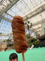 東京サマーランドに投稿された画像(2026/7/15)