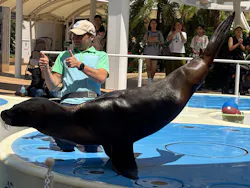 サンシャイン水族館に投稿された画像(2026/7/15)