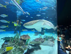 サンシャイン水族館に投稿された画像(2026/7/15)
