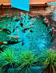 AQUARIUM × ART atoaに投稿された画像(2026/7/15)