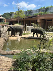 名古屋市東山動植物園に投稿された画像(2026/7/15)