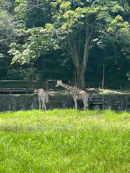 名古屋市東山動植物園に投稿された画像(2026/7/15)