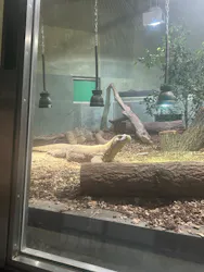 名古屋市東山動植物園に投稿された画像(2026/7/15)