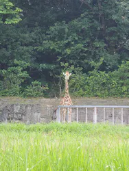 名古屋市東山動植物園に投稿された画像(2026/7/16)