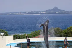 沖縄美ら海水族館に投稿された画像(2026/7/16)