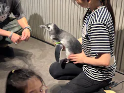 すみだ水族館に投稿された画像(2026/7/17)